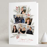 "Pine + Sprig" - Holiday Cards in Holly Berry by Wildfield Paper Co - Folded Card