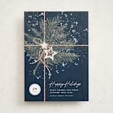 "Present" - Holiday Cards in Blueberry by Anastasia Makarova - Front