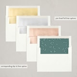 "ribambelle" - Holiday Cards in Ice by Leia Matt - Envelope Liners