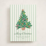 "Lobby Bow Tree" - Holiday Cards in Wintergreen by Erika Firm - Front