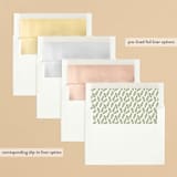 "Bold Gratitude" - Holiday Cards in Ivory by Beth Schneider - Envelope Liners