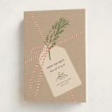 "twine and paper" - Holiday Cards in Peppermint by Adelyn T. - Folded Card