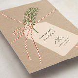 "twine and paper" - Holiday Cards in Peppermint by Adelyn T. - Detail