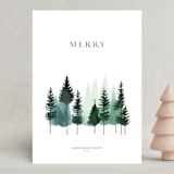 "Aquarelle trees" - Holiday Cards in Pine by Tatjana Koraksic - Front