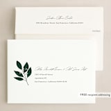 "botanicals" - Holiday Cards in Wintergreen by Kelly Schmidt - FREE Recipient Addressing