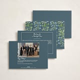 "Sophia" - Holiday Cards in Frost by Sarah Knight - Back of Card Options