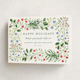 "Sophia" - Holiday Cards in Juniper by Sarah Knight - Folded Card