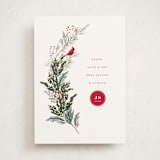 "Cardinal" - Holiday Cards in Holly Berry by Baumbirdy - Front
