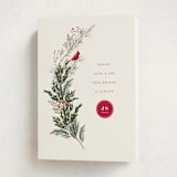 "Cardinal" - Holiday Cards in Holly Berry by Baumbirdy - Folded Card