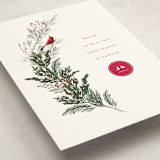"Cardinal" - Holiday Cards in Holly Berry by Baumbirdy - Detail