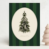 "Holiday Stripes" - Holiday Cards in Pine by Baumbirdy - Front