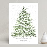 "Seasonal Etching" - Holiday Cards in Spruce by Paula Pecevich - Front