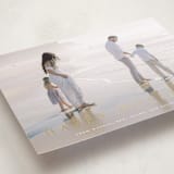 "Vast" - Holiday Cards in Snow by Amy Kross - Detail