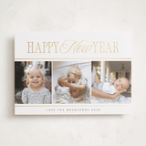 "New Year Trio" - Holiday Cards in Snow by Nicole Walsh - Front