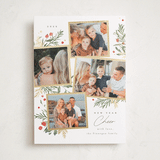 "Botanical Quad" - Holiday Cards in Candy Cane by Everett Paper Goods - Front