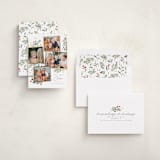 "Botanical Quad" - Holiday Cards in Candy Cane by Everett Paper Goods - Assembled