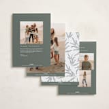 "Collage Scatter" - Holiday Cards in Sage by Melanie Severin - Back of Card Options