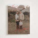 "Sophisticate" - Holiday Cards in Cherry by Nicoletta Savod - Front