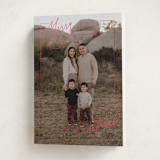 "Sophisticate" - Holiday Cards in Cherry by Nicoletta Savod - Folded Card