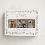 "Laurel Garland" - Holiday Cards in Snow by Everett Paper Goods - Folded Card