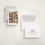"Natural Holiday" - Holiday Cards in Snow by Susan Moyal - Assembled