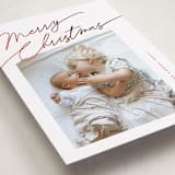 "Elements" - Holiday Cards in Holly by Pixel and Hank - Detail