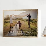 "Festive Holiday Border" - Holiday Cards in Lily by Wildfield Paper Co - Folded Card