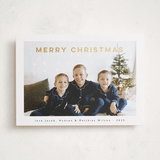 "bold christmas" - Holiday Cards in Ink by Benita Crandall - Front