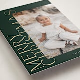 "side greeting" - Holiday Cards in Evergreen by Carolyn Nicks - Detail