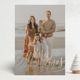 "Merry and Bright!" - Holiday Cards in Winter Garden by Wildfield Paper Co - Front