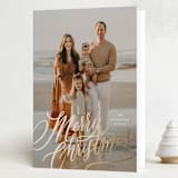 "Merry and Bright!" - Holiday Cards in Winter Garden by Wildfield Paper Co - Folded Card