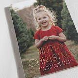 "Very Merry!" - Holiday Cards in Snow by Wildfield Paper Co - Detail