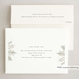 "festive sprigs" - Holiday Cards in Snow by Carolyn Nicks - FREE Recipient Addressing