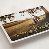 "Noelle" - Holiday Cards in Marshmallow by Pati Cascino - Detail