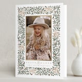 "Dove of Peace" - Holiday Cards in Dove by Leah Bisch - Folded Card
