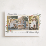 "Warmest Wish" - Holiday Cards in Peppermint by Susan Moyal - Front