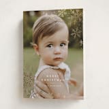 "Glistening Snow" - Holiday Cards in Snow by Wildfield Paper Co - Folded Card