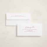 "Wide Angle" - Holiday Cards in Candy Cane by Susan Zinader - Envelope Addressing