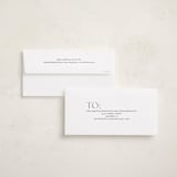 "Gilded Shine" - Holiday Cards in Sage by Angela Thompson - Envelope Addressing
