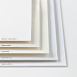 "Classic & Modern" - Holiday Cards in Eggnog by Brianne Larsen - Paper Types