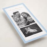 "Sage" - Holiday Cards in Blue Spruce by Wildfield Paper Co - Detail