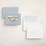 "Festive Sprinkles" - Holiday Cards in Frost by AK Graphics - Assembled