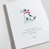 "Present Pawfect" - Letterpress Holiday Cards in Evergreen by Megan Davis - Detail