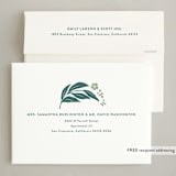 "berries and leaves" - Letterpress Holiday Cards in Evergreen by Carolyn MacLaren - FREE Recipient Addressing