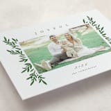 "Elegant Boughs" - Letterpress Holiday Cards in Holly by Everett Paper Goods - Detail