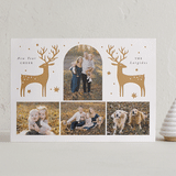 "Magical Reindeer" - Letterpress Holiday Cards in Gingerbread by Corinne Malesic - Front