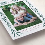 "Folk Frame" - Letterpress Holiday Cards in Pine by Petra Kern - Detail