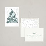 "O Tannenbaum" - Letterpress Holiday Cards in Pine by Paula Pecevich - Assembled