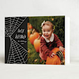 "Web" - Halloween Cards in Night by Morgan Kendall - Folded Card