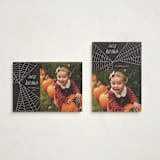 "Web" - Halloween Cards in Night by Morgan Kendall - Photo Orientation Options